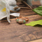 Assort Trio Gem Wire Wrap